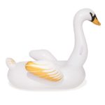 swann floater